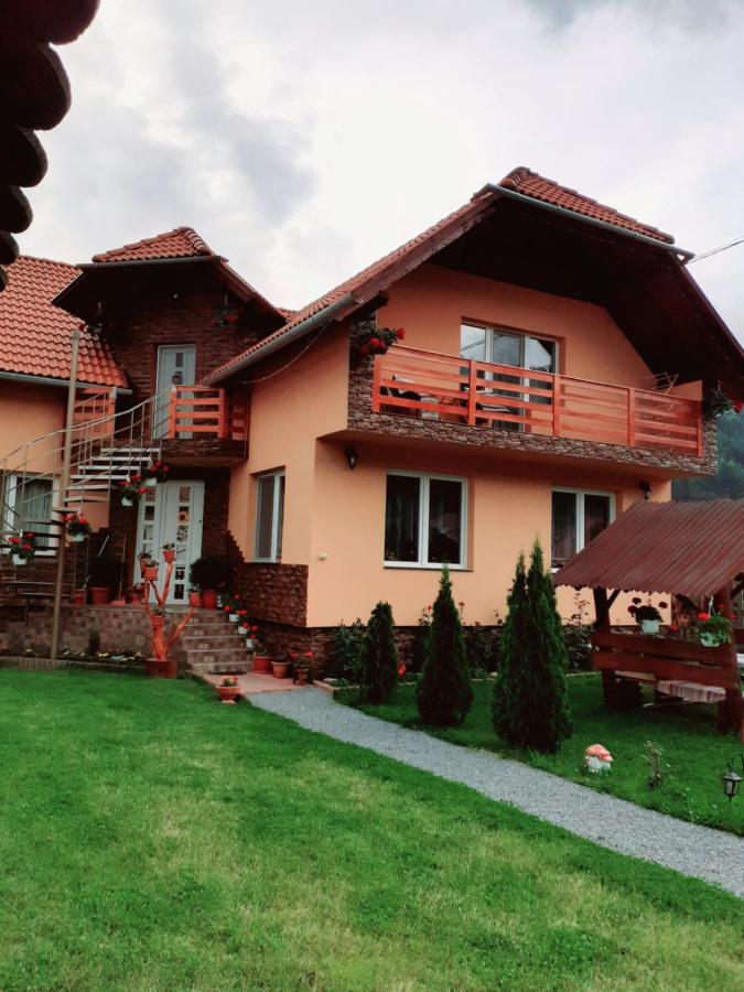 Casa De Oaspeti Cristian Praid Pokój zdjęcie