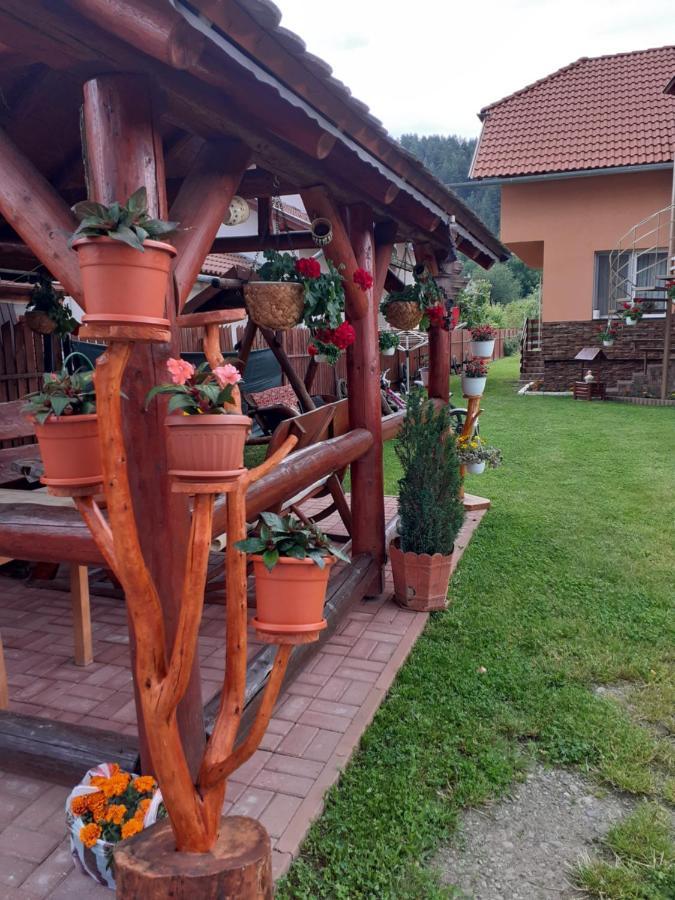 Casa De Oaspeti Cristian Praid Zewnętrze zdjęcie