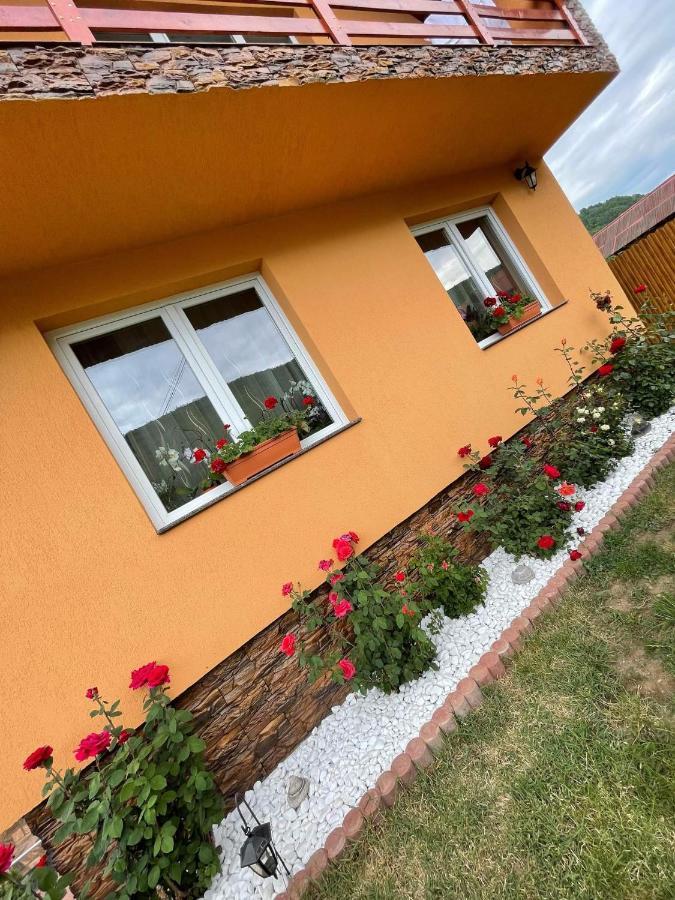 Casa De Oaspeti Cristian Praid Zewnętrze zdjęcie