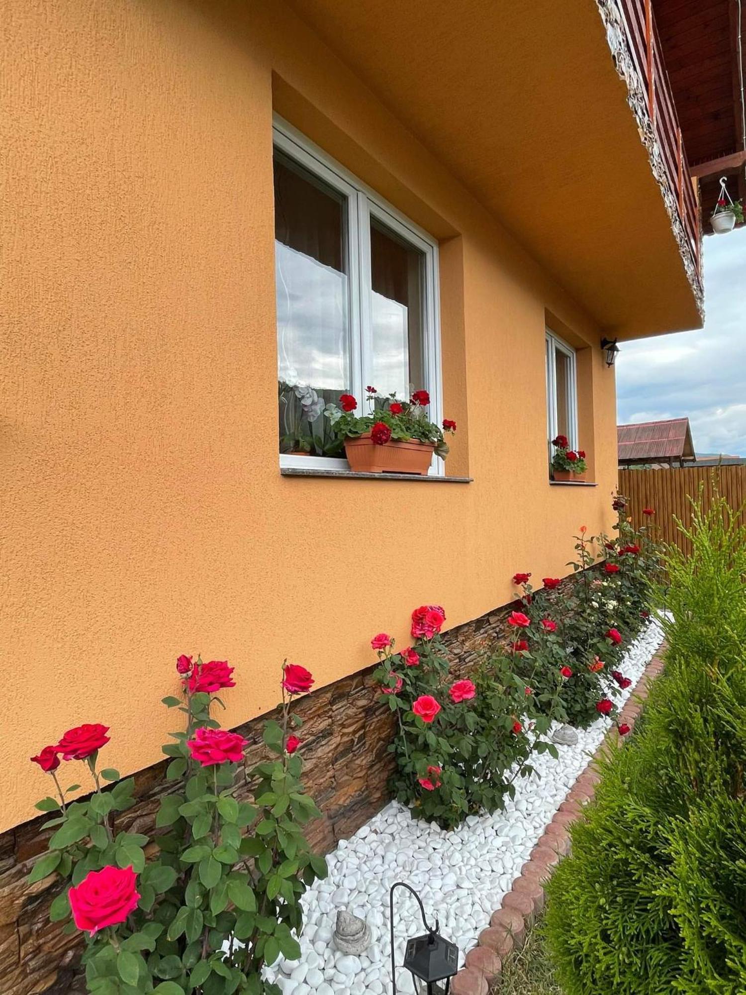 Casa De Oaspeti Cristian Praid Pokój zdjęcie